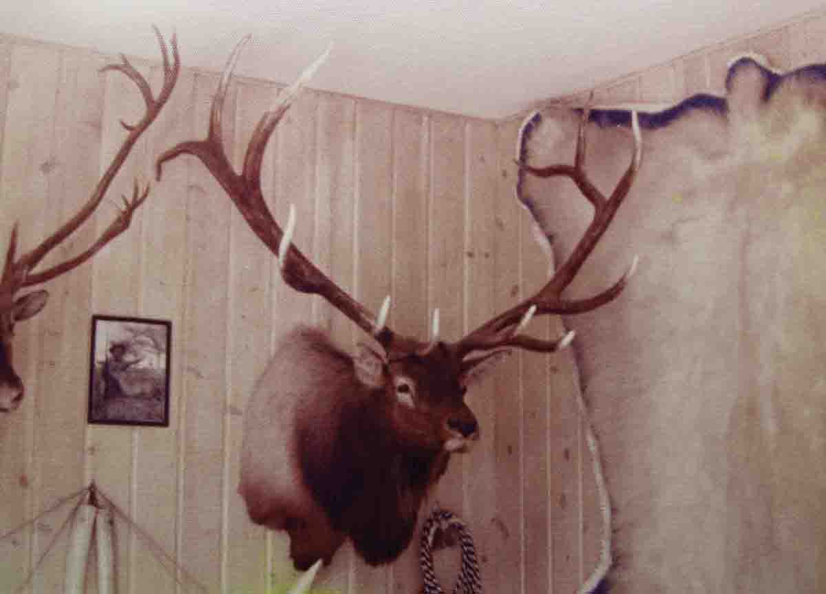 The elk head in Elmer Keith’s trophy room that couldn’t be scored.